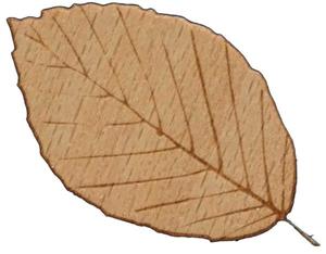 LASER WOOD BØK 2,5 MM